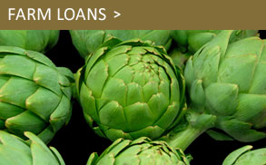 Farm Loans