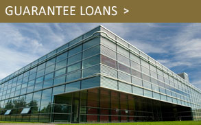 Guarantee Loans
