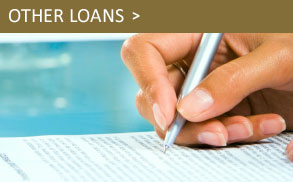 Other Loans